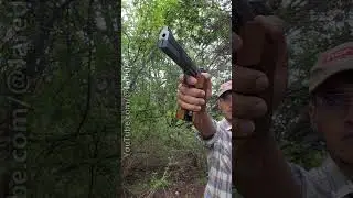 Hammerli 208 International .22LR Sport/Target Pistol