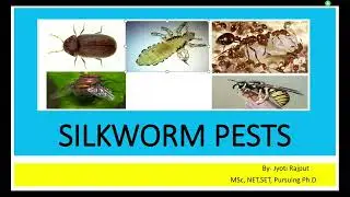 Silkworm Pest I Sericulture I I SYBSc I