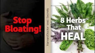 FIX Your Gut: 8 Kitchen Herbs that Heal Bloating, Gas, and Inflammation