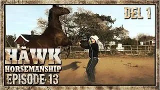 HEST SOM SPARKER! - DEL 1 | Episode 13 (Norsk Hestetrening)