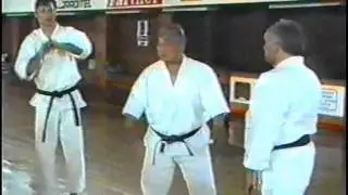 IKS RUSSIA - Taiji Kase seminar 1 part, (Macedonia,1995 year ).mpg