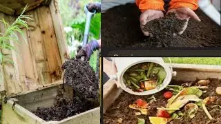 Powerful Composting At Home Kitchen West Compost Leave Compost How to Make Compost At Home 🏡🌺🌺🏵️🏵️🌸🌸