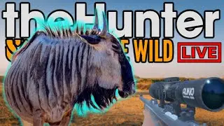 Lets get that Albino Wildebeest! - theHunter Call of the Wild (Portrait)
