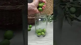 CONSERVARE LE OLIVE VERDI IN SALAMOIA INTERE E SCHIACCIATE