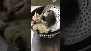 Soft-shelled turtle soup recipe