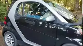 Smart Car Converted to RV, Solo Camper,