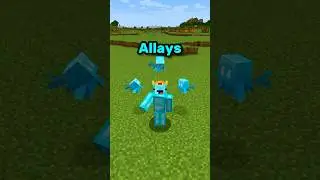 Allays Can Do THIS?! ⛏💎