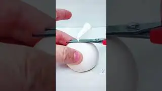 How to grow COOL JUMBO water beads