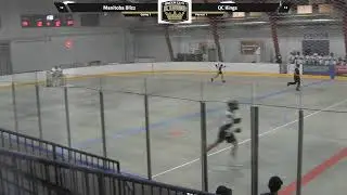 Regina Queen City Kings host Manitoba Blizz Game 1 of 2