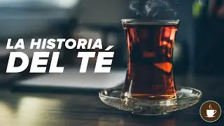 El Origen del Te - La Historia Detras de esta Bebida que Milenaria