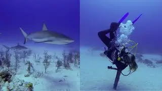 Scuba Diving on your Period? Is it safe?