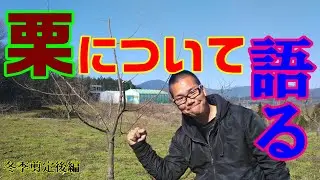 【栗栽培】栗の木について語らせて頂きました!!～冬編～