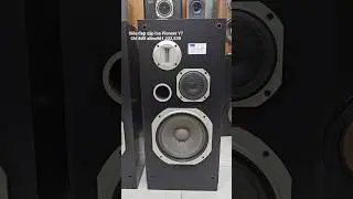 Qu&aacute; Đẹp Cặp Loa Y7 Pioneer Bass 25 Chỉ 8đ5