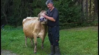 Bendehof Landwirtschaft