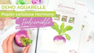 TUTO AQUARELLE Peindre un navet | DEMO sur papier cellulose Harmony Hahnemühle