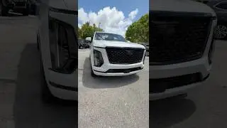 White Escalade and Blackout Package