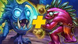 There&rsquo;s a New Murloc Combo And It Rules | Dogdog Hearthstone Battlegrounds
