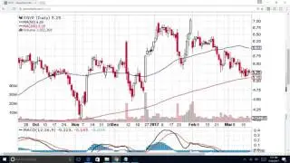 SGYP Hot Stock Tip - Is now a good time to buy in?