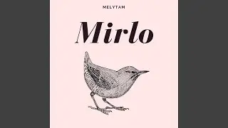 Mirlo