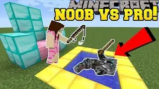 Minecraft: NOOB VS PRO!!! - ROD RUN!! - Mini-Game