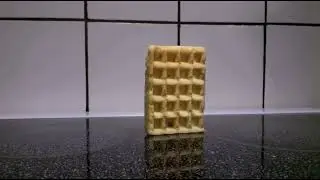 Waffle Falling Over #7