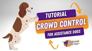 Crowd Control Assistance Dog Training Tutorial - Autism, PTSD, Anxiety