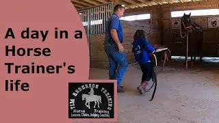 A day in the life of a horse trainer.