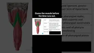 #medicine #medical #medschool #medstudent #anatomy #usmle #usmlestep1 #medicalschool #nursing #bio