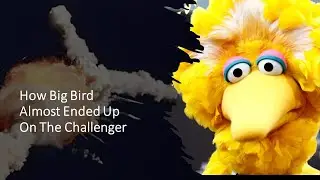 How Big Bird Almost Ended Up On The Challenger