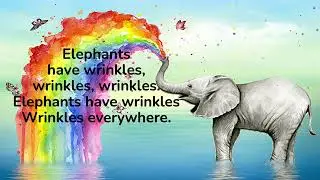 Elephants have wrinkles