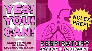 [RESPIRATORY] NCLEX Review with Q&A's: Anatomy & Nurse Assessment - YES! YOU! CAN! 2025 #nclexstudy