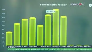 Media-treninglar va birjaning sement bozori
