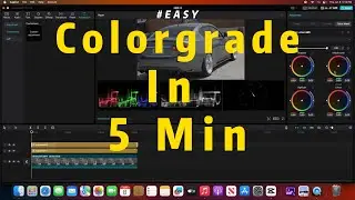 Colorgrade in  5 MINUTES! Easy And FAST (color Grading) (Color Wheels)