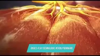 Easy Trainer&reg; | Pr&eacute;sentation de EasyCurve et EasyAbs