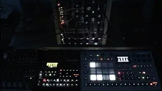 Birdkids Raven & Bateleur + Elektron Digitone & Analog Rytm