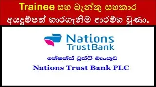 Nations Trust Bank Trainee Banking Assistant 2025 | Latest Bank & Finance Job Vacancies in Sri Lanka