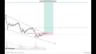 TRADE JOURNAL first week of february 2025 PART 2 #omni  #xrp #ENSUSDT #dogecoin #ada #btc #trading