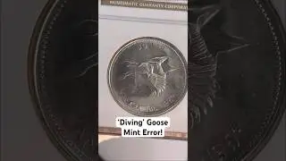 Featured Coin: Diving Goose