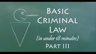 Understand Criminal Law in 18 Minutes (Part III)