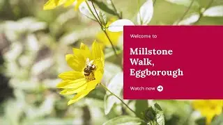 Taylor Wimpey - Welcome to Millstone Walk, Eggborough