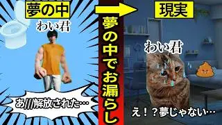 わい君、夢と現実で二重に漏らして家族バレしました…#猫ミーム  #猫マニ