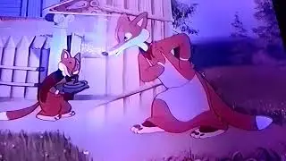 MGM Coffee The Lion Cartoon Fox Builder (1950) 