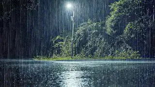 Heavy Rain Sounds for Sleeping | Deep Sleep Instantly, Insomnia & Tinnitus Relief
