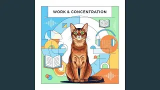 Concentration rhythm lines