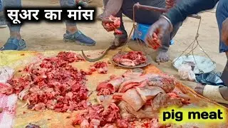pig meat eating // pork recipe Amazing video // Village mein suwar mit Kaise banate hain // Pig meat