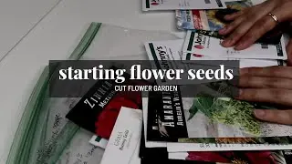 How to start flowers from seed | Varieties for cut flowers, tips + tricks | GroundedHavenHomestead
