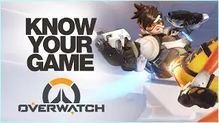 Overwatch - FACTS You MIGHT Not Know