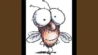 Fly Guy