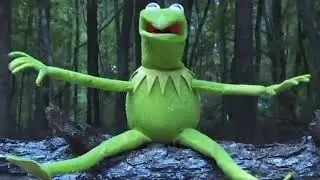 Kermit dies