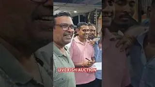LIVE FISH AUCTION 🐠🐟🐬⭕#fish #fishauction #fishingshorts #trending #subscribemychannel
